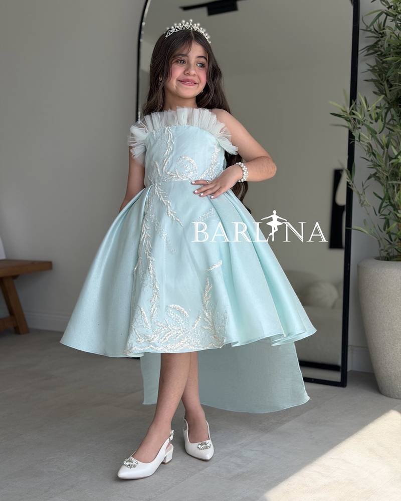Girls' sky blue dress with shiny gold embroidery