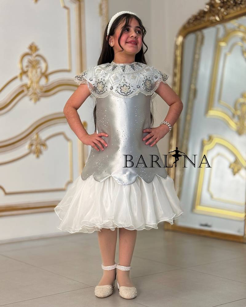 Girls' silver glitter dress with embroidered collar
