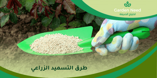 برنامج سماد الحديقة طوال العام 