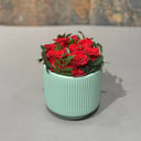 9red roses in beautiful vase