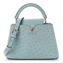 Ostrich baby blue LV