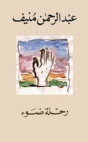 رحلة ضوء