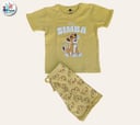 2pcs Short-sleeved T'shirt and matching shorts 650B \ G523204