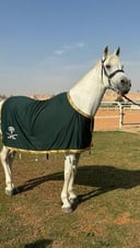 جلال زينة مع شعار