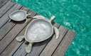 Luxury Trays Set of a Sea Turtle (Mother & Baby)