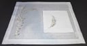 Leaves on a Branch Design Placemats with Napkins Set For 12.Persons