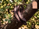 Carob Tree