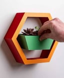 Hexagon Wall Planter by Pots 