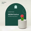 Neon Cactus