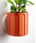 The Orange by Pots 