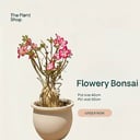 Flowery Bonsai