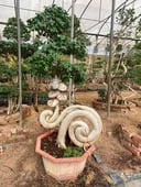 Bonsai Snail