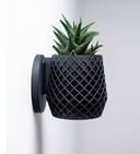 Lattice Planter By Pots 
