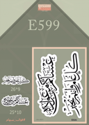 E599