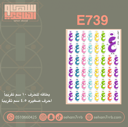 E739