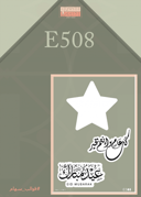 E508