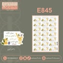 E845