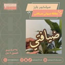 سيلكون بارز بطاقة ضيافتي