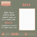 E013