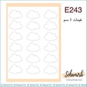 E243