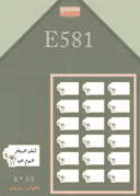 E581