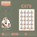 E879