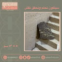 نحلم ونحقق نقش