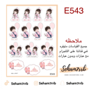 E543