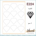 E224