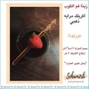 ملعقه اكريلك نورتونا