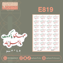 E819