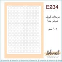 E234