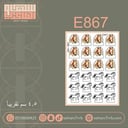 E867