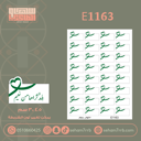 E1163