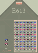 E613