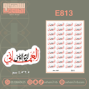 E813