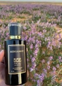 عطر برغموت | bergamot