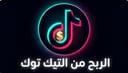 الربح من التيك توك