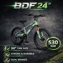 Sports Cycle 24
