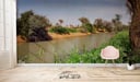 شعيب الشوكي (السعر حسب اختيارك للمتر )