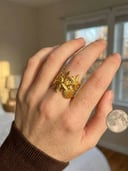 Chunky Ring 18✨