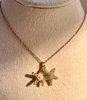 Starfish necklace ✨