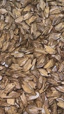 عود مروكي مني سوبر طبيعي محسن 