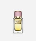 عطر دولتشي غابانا فيلفيت لوف او دو بارفيوم للنساء - 150مل