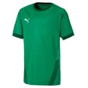 Puma teamGOAL 23 Jersey Jr Tshirt 