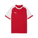 PUMA teamLIGA 26 Matchday Jersey Youth