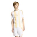 Adidas Messi Training Jersey Kids