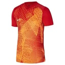 Nike Dri-Fit Precision VI
