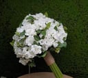 مسكة عروس