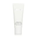 Stabilizing Cleansing Mask by Natura Bisse